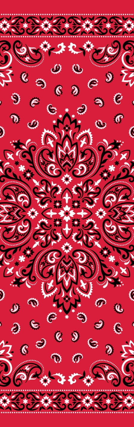 PW020 Red Bandana 2
